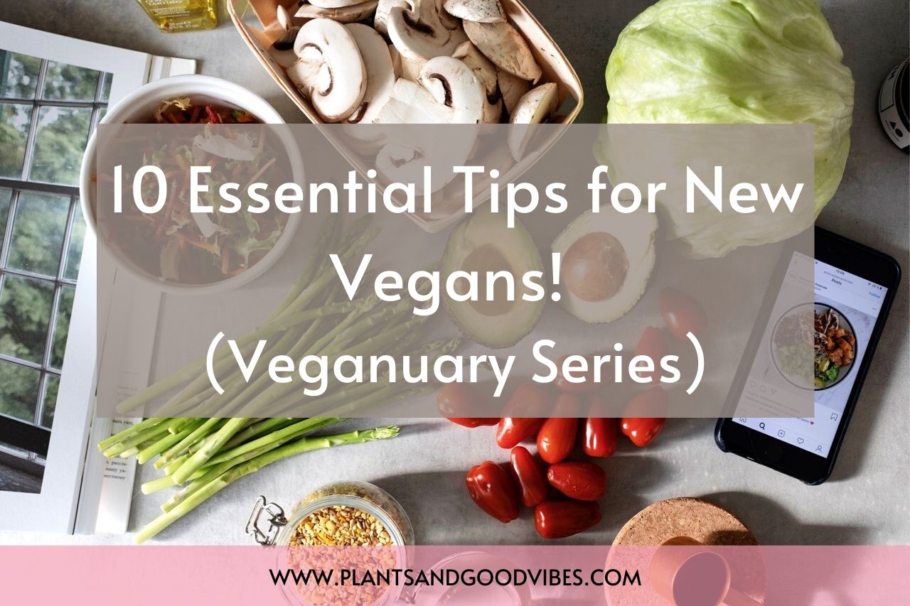 essential tips for new vegans header