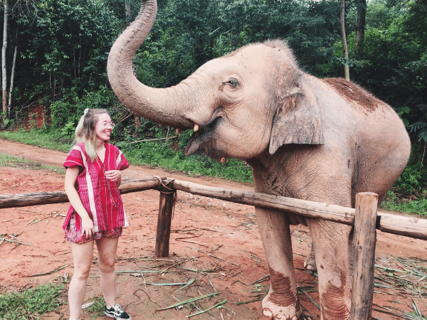 Dani and Elephant - Plants and Good Vibes