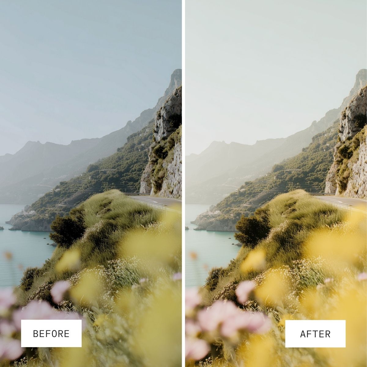 Endless Summer Presets